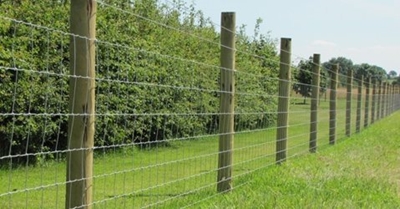 Subsidies available to fence land