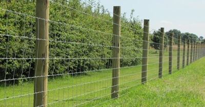 Subsidies available to fence land