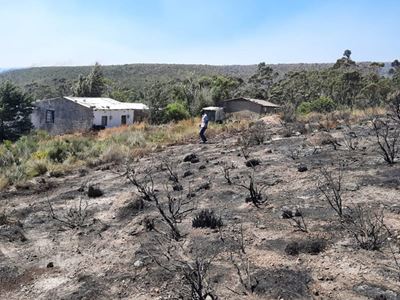 Wildfire Update: Gysmanshoek