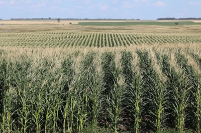 Release of state-owned land to be prioritised