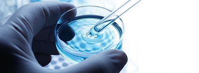 Water quality under the microscope