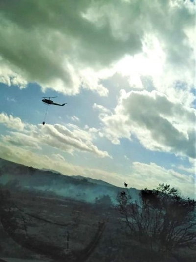 Wildfire near Vleesbay contained