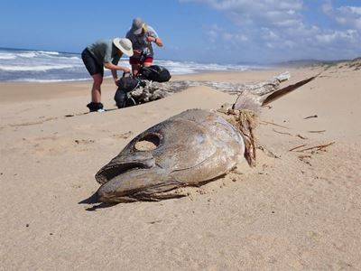 Tackling ghost-fishing