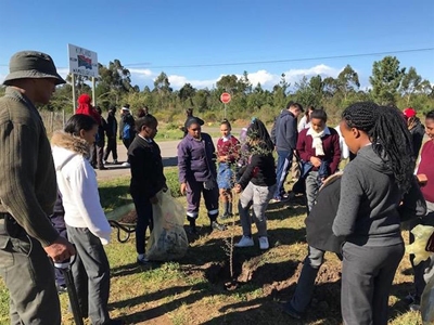 Going green in Kurland