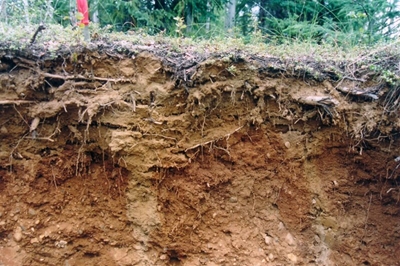 Free State soil acidity levels worryingly high