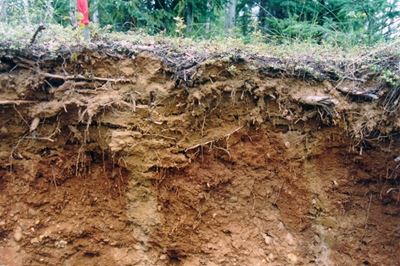 Free State soil acidity levels worryingly high