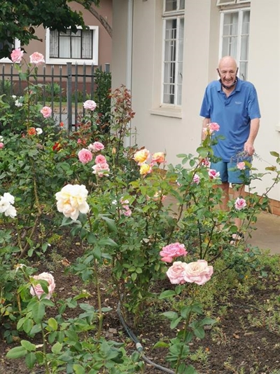 Tehuise se tuine blom weer