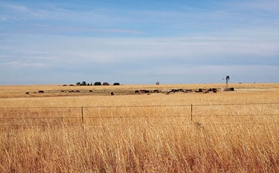 What hampers farm mechanisation in Africa?