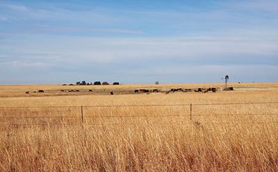 What hampers farm mechanisation in Africa?