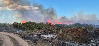 Hessequa-gemeenskap staan saam vir Mosselbaai-brand