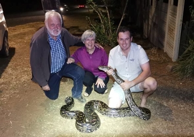 3.9m-long python rescue