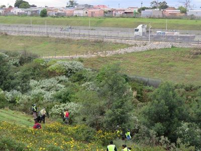 Illegal dumping hotspots zapped