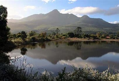 Plant an indigenous tree in Botanical Garden