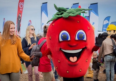 Sweet Strawberry Festival is finally here!