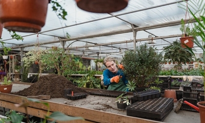 Gardening in spring