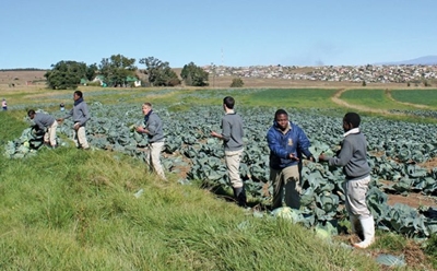 SA is holding the rest of Africa back