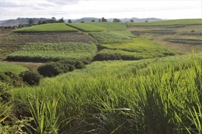 ‘No new law needed for expropriation’ – BLSA and FMF