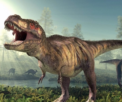 Dinosaur interpretive centre in Free State prepares to unveil prehistoric marvels in 2024