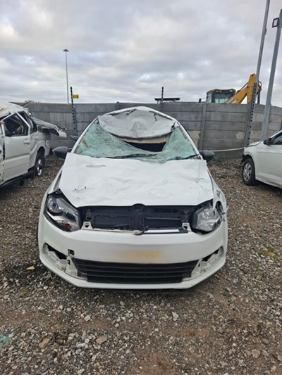 N2 horse collision: Driver discharged with minor injuries