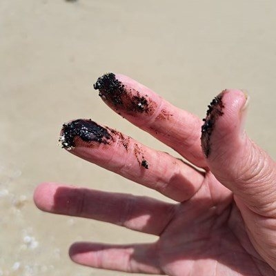 Oil spill: Closure of Mossel Bay beaches