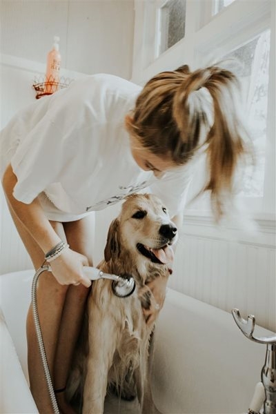 How pet ownership impacts household budgets