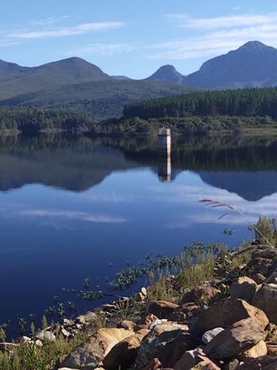 Garden Route Dam level update