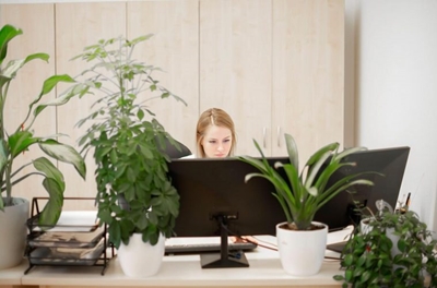 6 plants that will survive in your office