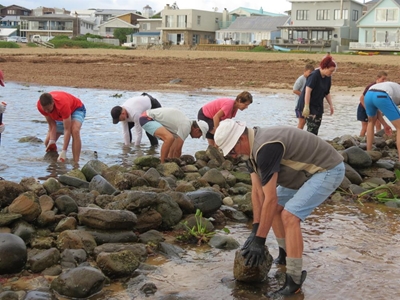 Visvywers in Stilbaai herstel
