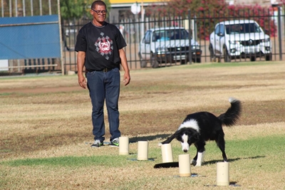Round Table 33 samel hondekos in vir Odin