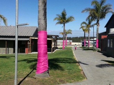Support Pink Trees for Pauline