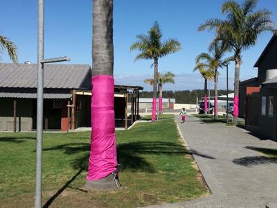Support Pink Trees for Pauline