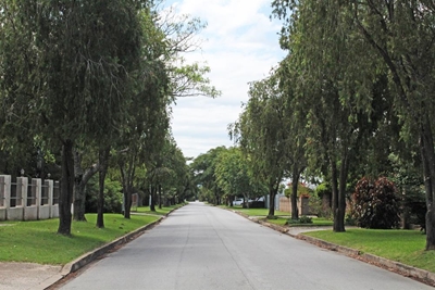 The Meent Street murder