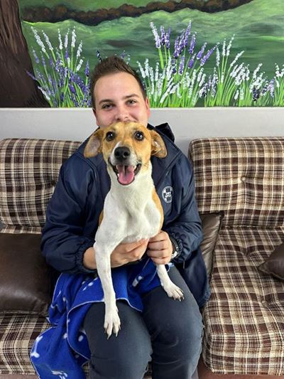 Fifi the 'policedog' now lapdog Lola