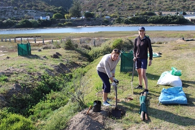 Boomplantmaand in volle swang