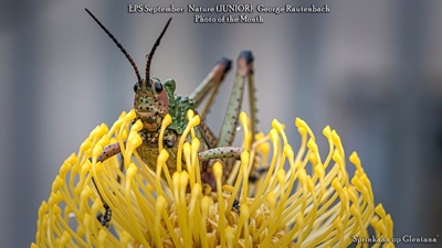 Eden Photographic Society kondig September-wenners aan