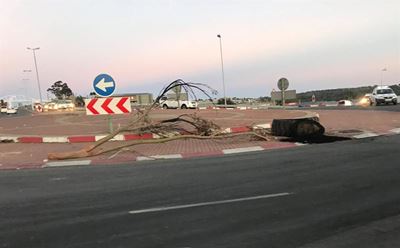 Plett's New Horizons joining protest fray