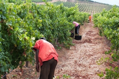 CCMA receives over 6 000 wage disputes in 4 months