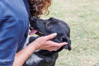 A second chance for Enzo