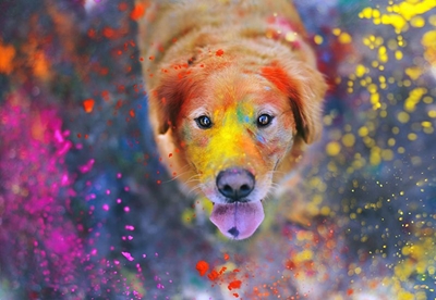 Colour outside the lines with Odin 