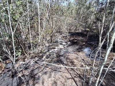 Garden Route veldfire: Touwsranten in  George 