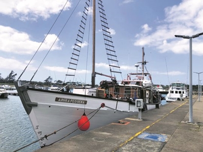 Vessel conducts research on shark populations along Richards Bay coastline