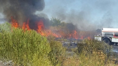 Brandweer reageer vinnig