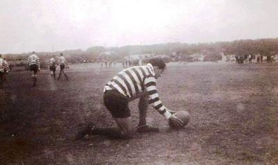 'n Springbok vir Mosselbaai
