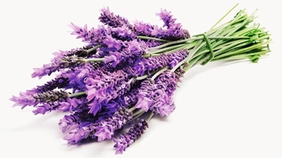Ways to use lavender at home