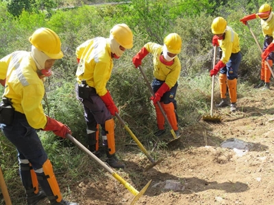 Firebreaks are compulsory by law