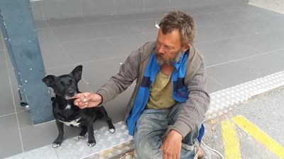 DBV help haweloses se honde