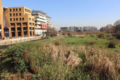 Ward councillor wants bird sanctuary at Centurion lake