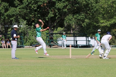 Talent galore at cricket festival