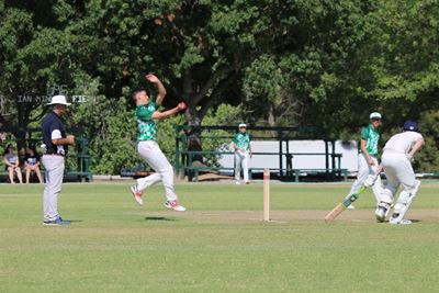 Talent galore at cricket festival