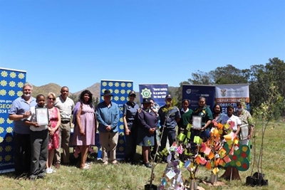 Bome van hoop vir kinders in Herold